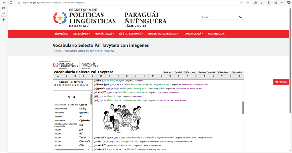 PÑS ohupi ñe’ẽryru iñandutiroguépe oñemyasãi hag̃ua tetãmegua ñe’ẽnguéra